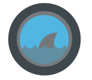 Environmental Impact